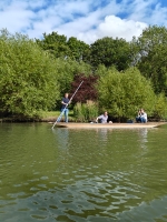 punting