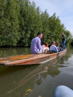 punting